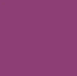 Infusible Ink™-Transferfolien, Wildaster