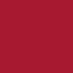Smart Vinyl™ - permanentes Vinyl ohne Schneidematte (0,9 m / 3 Fuß), Rot